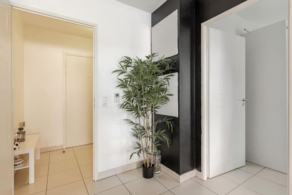 Appartement Cosy Et Chic Montpellier Eksteriør bilde